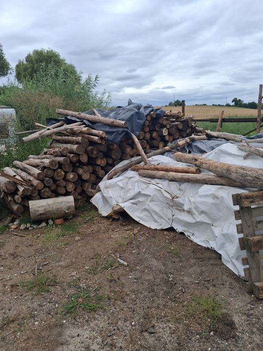 Drewno opalowe suche