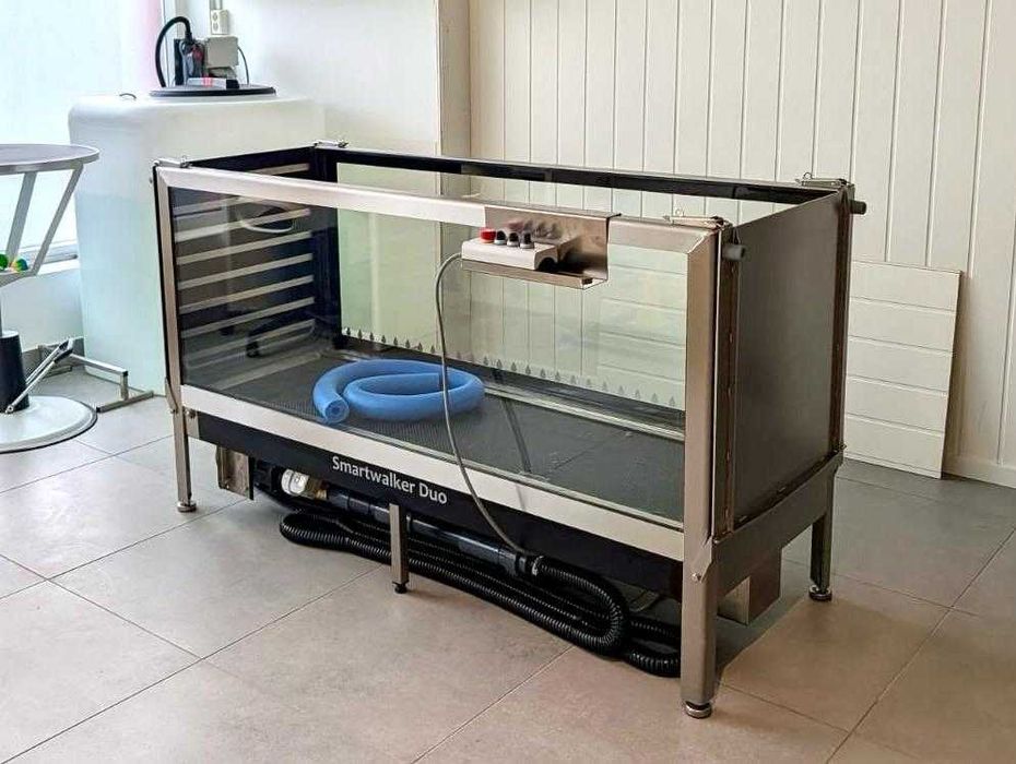 Bieżnia wodna dla psów Smartwalker DUO hydroterapia zoofizjoterapia