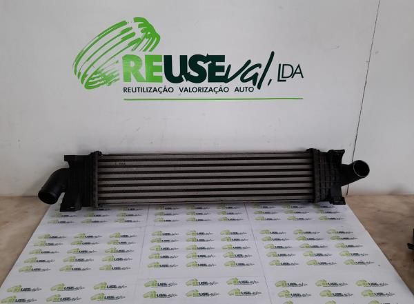 Radiador do intercooler FORD C-Max (DM2)