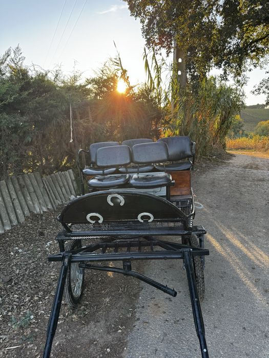 Vendo charrete de 7 lugares
