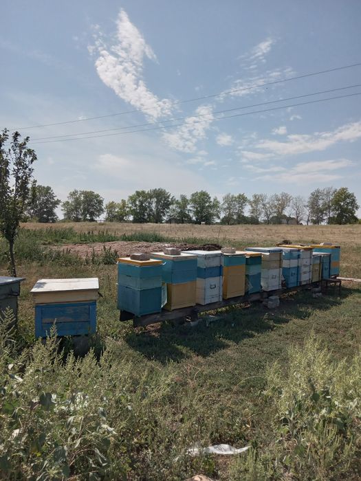 Продам  участок   1,3 га.  .       .    200$ сотка