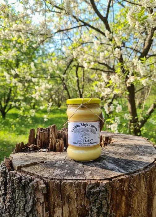 MIÓD LEŚNY wielokwiatowo-akacjowy 400g z serca DOliny Rospudy