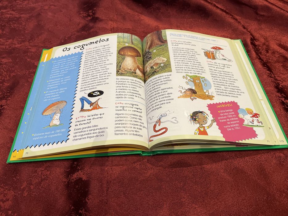 Livro natureza respostas as perguntas das criancas