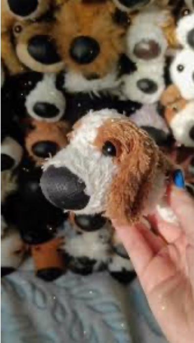 the dog collection собачки