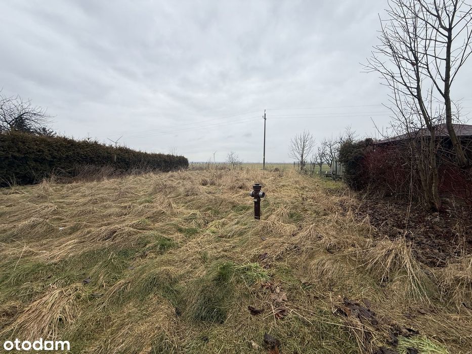 Na sprzedaż grunt z domem 1142m Bojanów