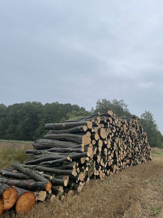 Drewno opałowe metry, wałki