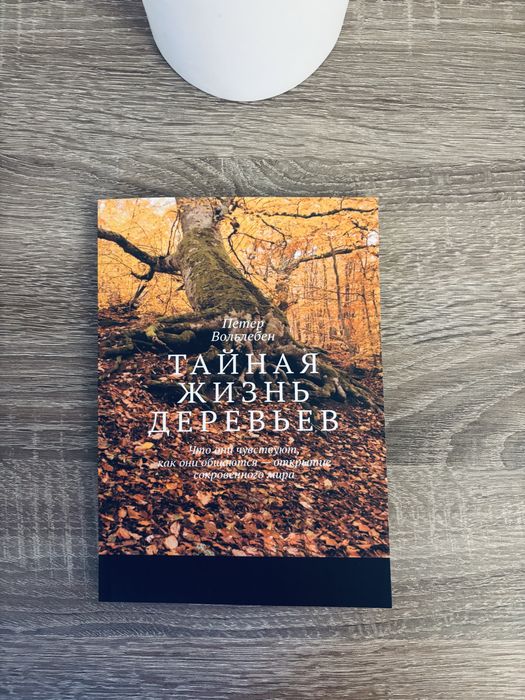 "Тайная жизнь деревьев" Петер Вольлебен