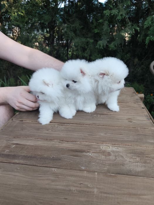 Гарненькі Дівчатка,та Хлопчики!