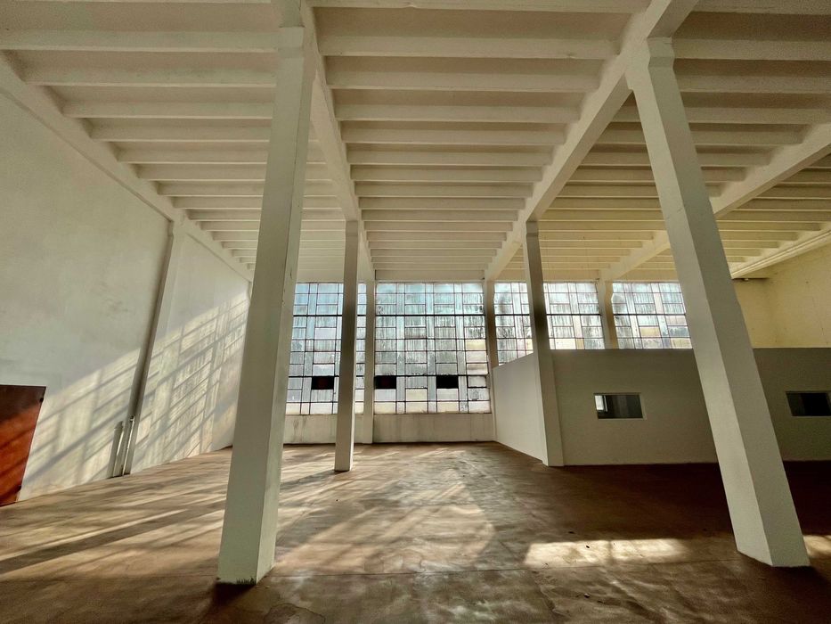 550 m2 - hala Teofilów - wynajmę