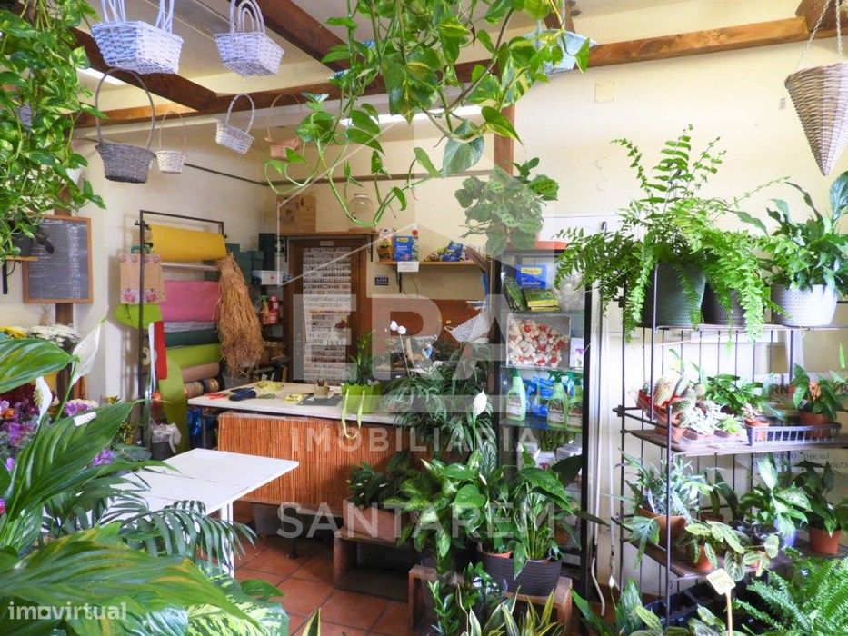 Prédio com 2 Lojas + Apartamento T1