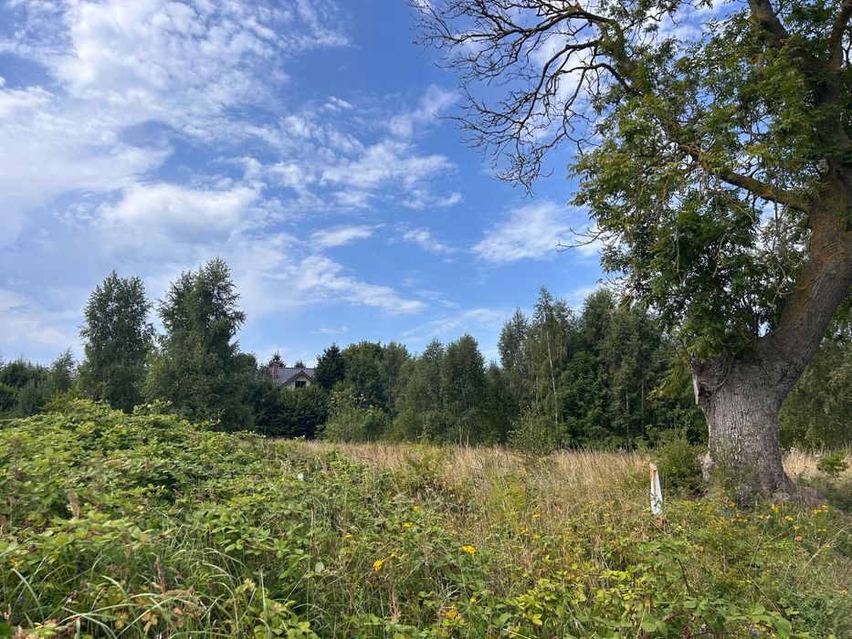 Sprzedam atrakcyjną działkę obok lasu w Dziwnówku