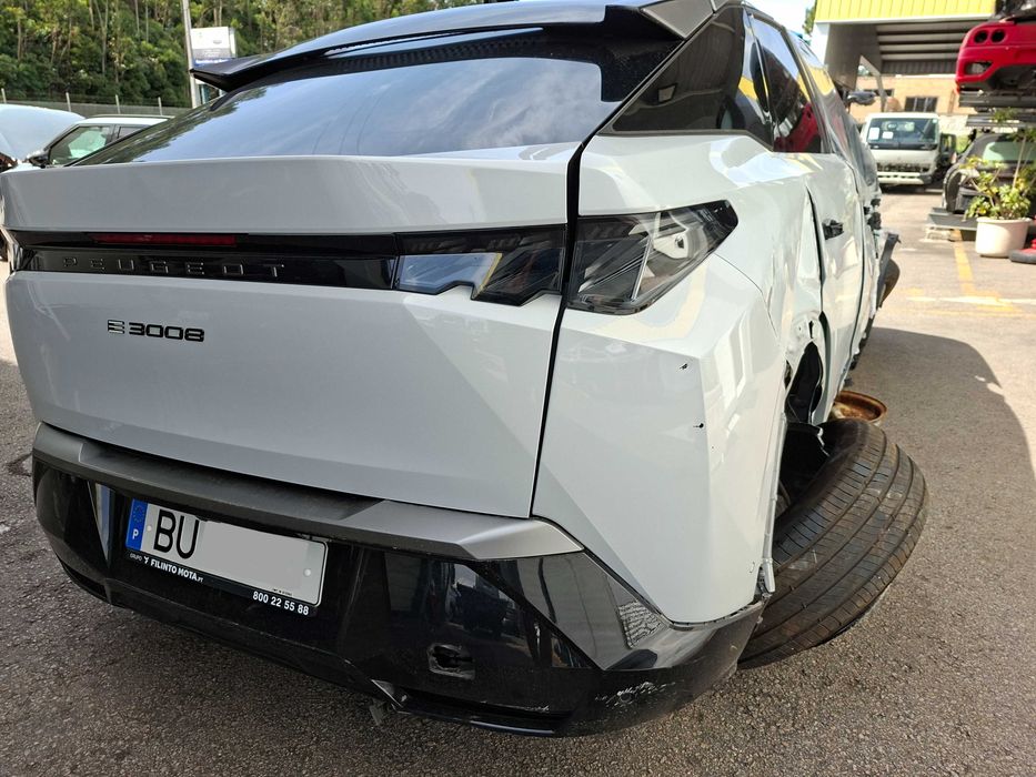 Peugeot E 3008 - Salvado