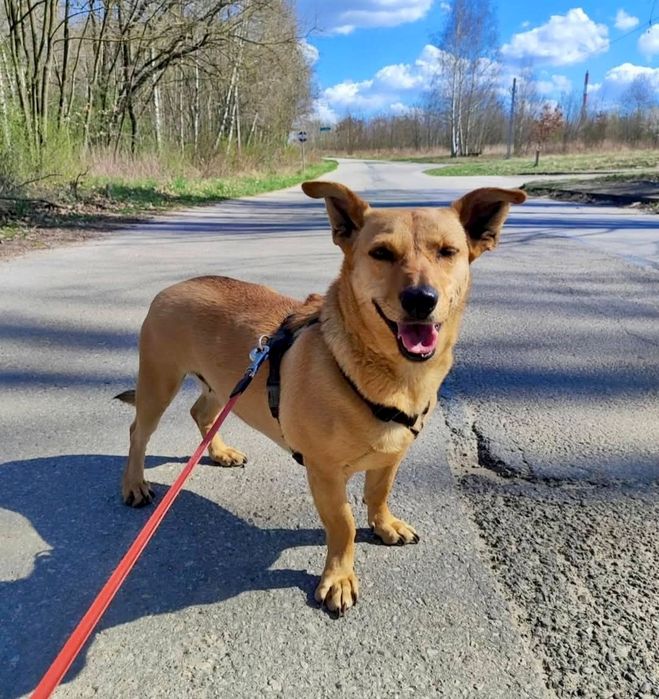 Nadusia prosi o szansę ...