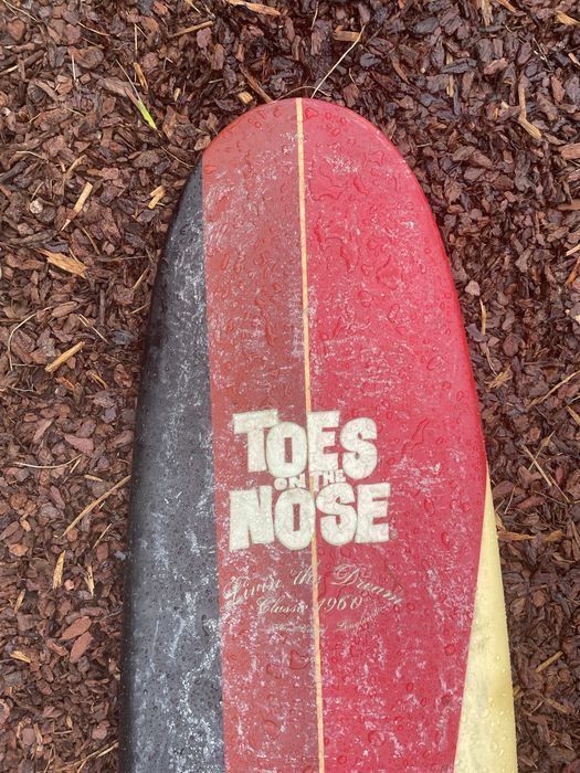 Longboard 9.0 fusion nose rider fish tail