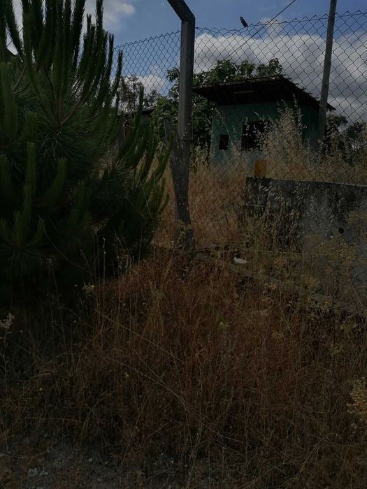 Quinta, com pavilhões