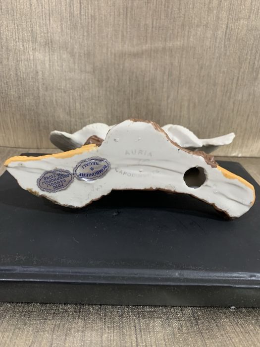 Парочка голубів, голуби