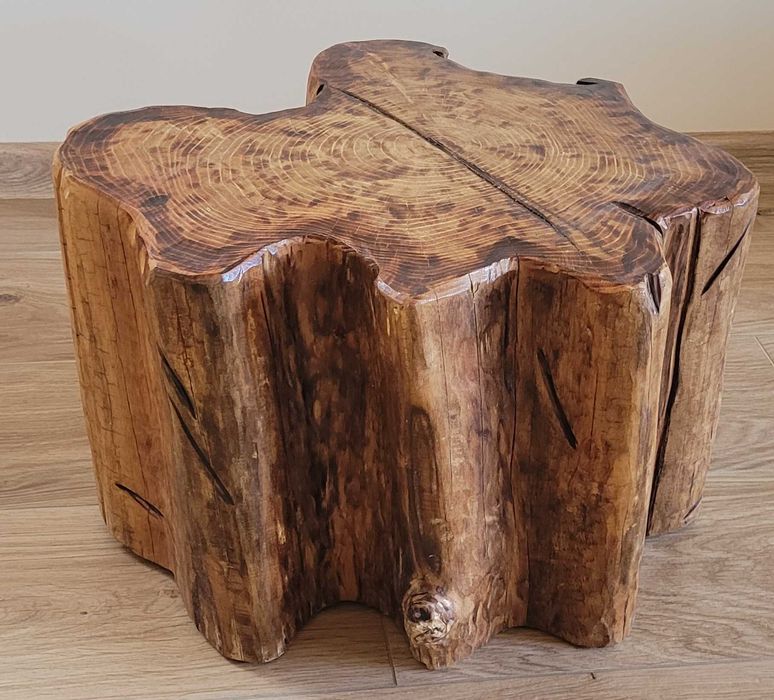 Skamieniałe drewno postument.