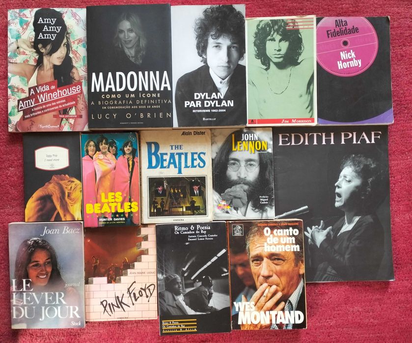 Beatles, Dylan, Iggy Pop, Madonna, Morrison, Pink Floyd etc - 14 livros