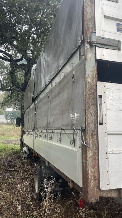 Carroçaria transporte de animais vivos