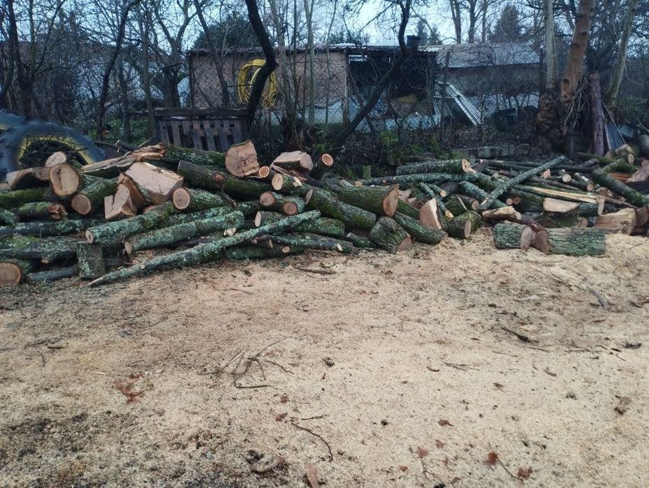 Drewno opałowe i kominkowe