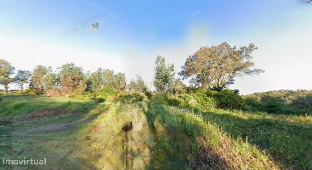 Terreno Rustico 21 360M2 - Santarem