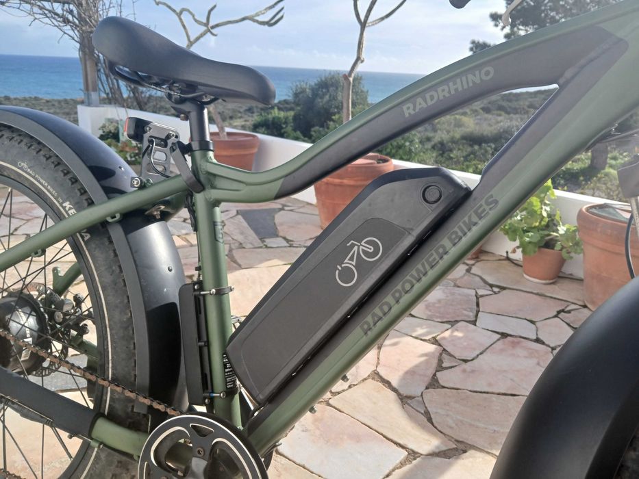 Mens Electric Bicycle Radrinho Power Bike