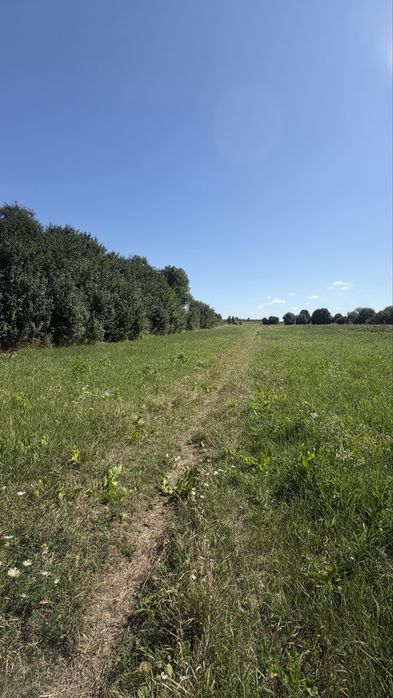 Продаж земельна ділянка 45 соток с.Щигліївка