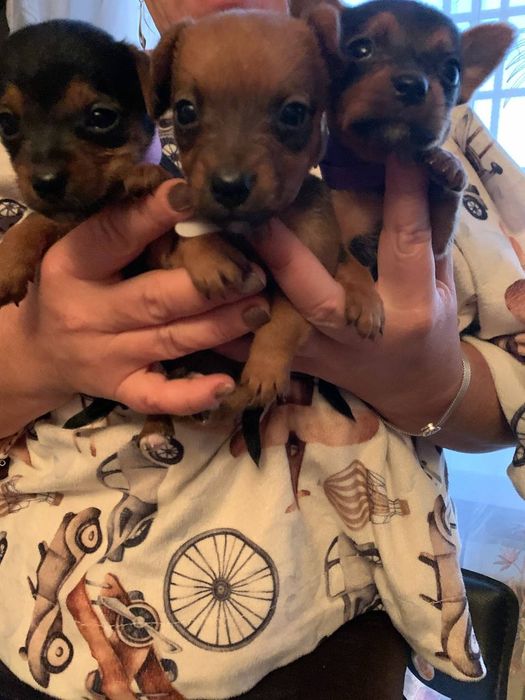 Милейшие малыши ждут своих пап,мам