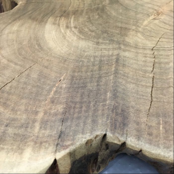 Fatias de Tronco Teca Maciça Teak Slabs - NOVO by OVO Home Design