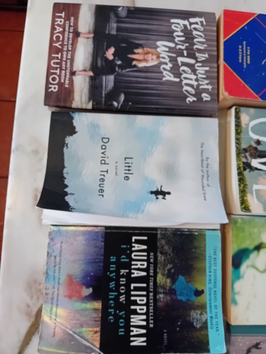 Conjunto de 12 Livros Diversos Língua Inglesa
