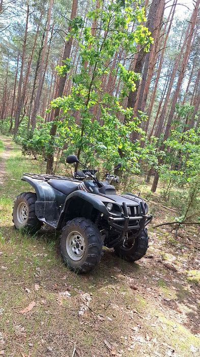 Yamaha grizzly 660