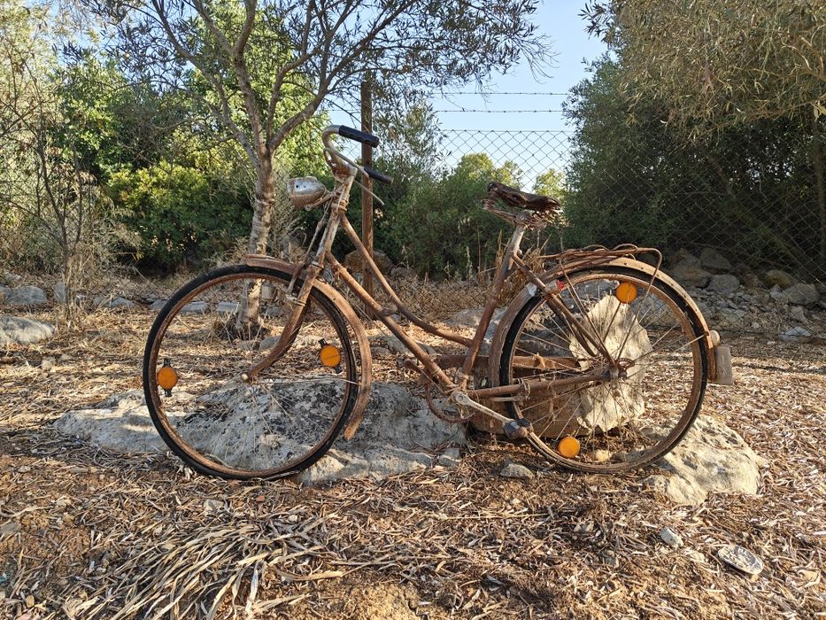 Lote de Bicicletas Antigas