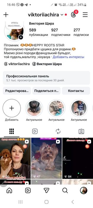 Суперова крихітка мальтіпу f2.