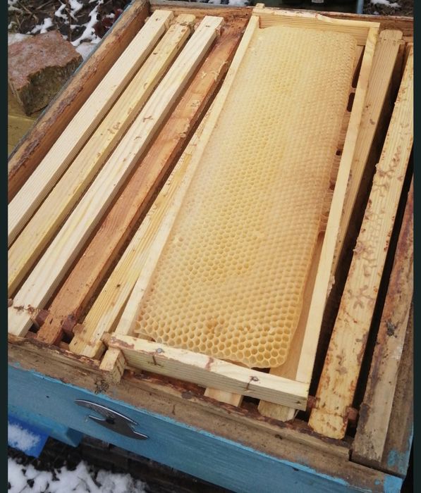 Сушь рамки 145/230