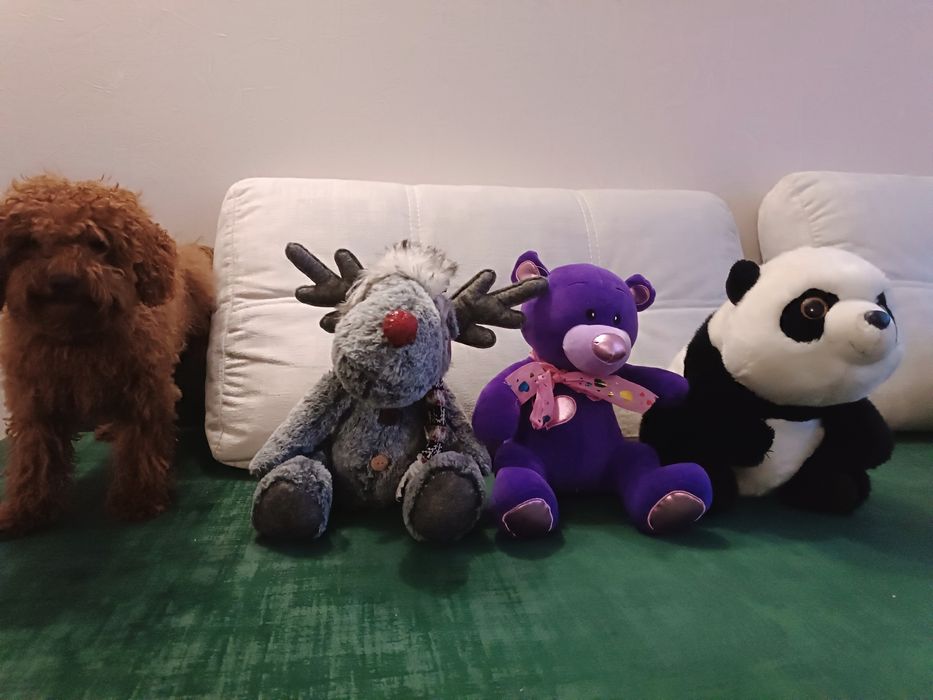 Олень, ведмедик ( м'які іграшки)