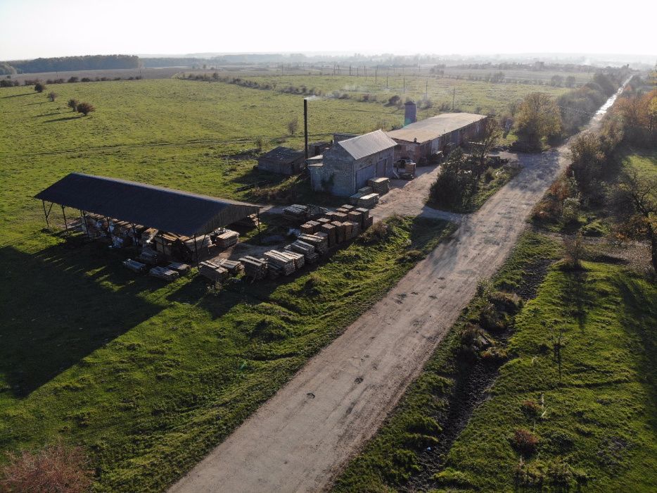 Сушка деревини. Послуги по сушінню деревини. Сушіння деревини, камерна