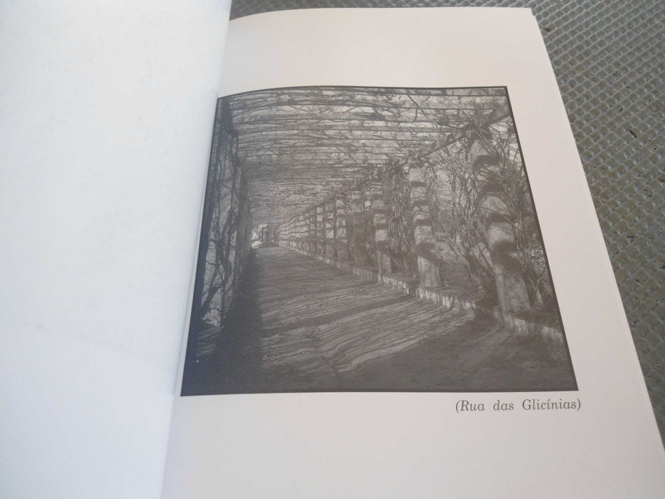 Manhã inacabada ou a vereda da memória de Ulisses Rolim (1996)