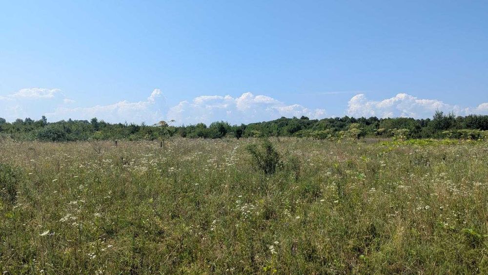 Ділянка біля озера в с.Черніїв(12)