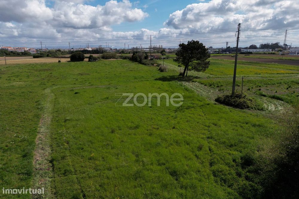 Terreno em Murta - Aveiro 2000m2