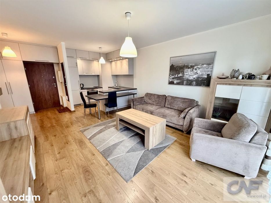 Katowice, Francuska Park, Nowe Budownictwo