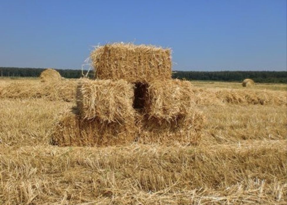 Продам солому в тюках