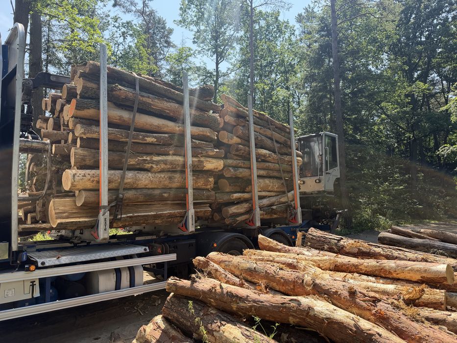 Drewno w walku, opałowe, kominkowe, do pieca,transport HDS