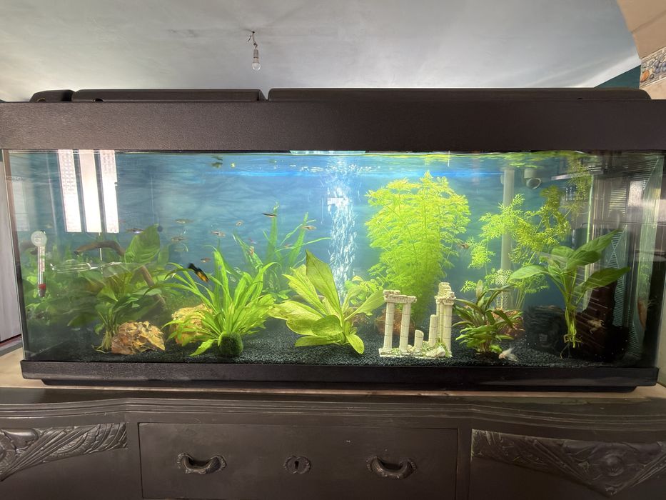 Aquario 120L