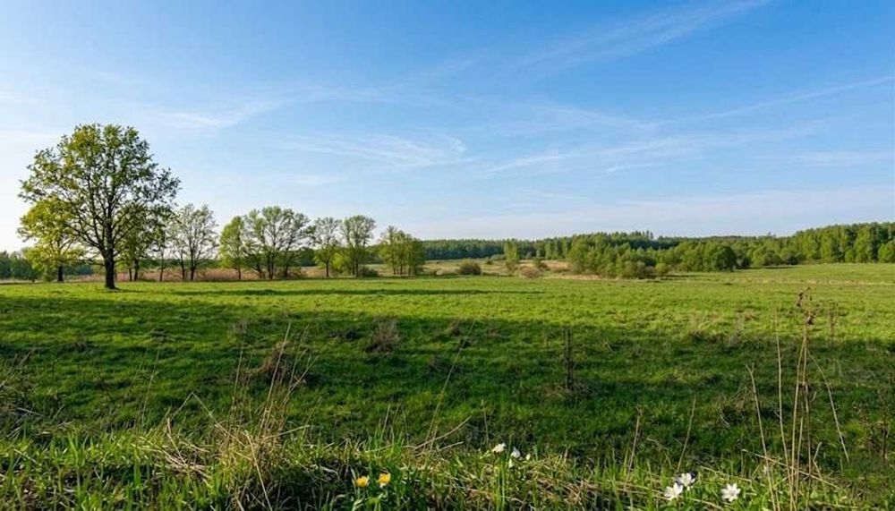 Продаж ділянки для будівель, закладів освіти 1,70га. Ястремщина.ID:771