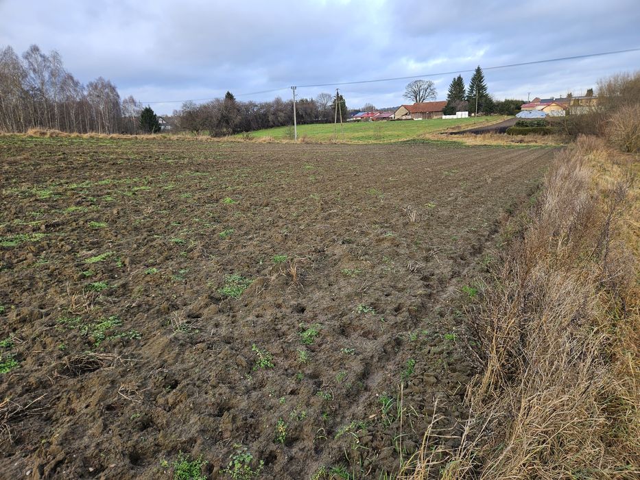 Działki Zwierzewo Mazury