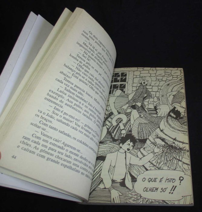 Livro Uma Aventura nas Férias de Natal