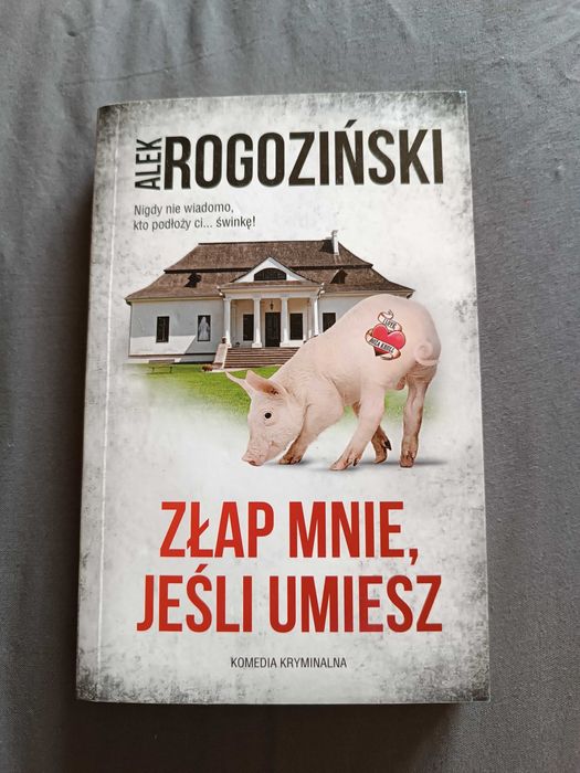 Złap mnie, jeśli umiesz – Alek Rogoziński