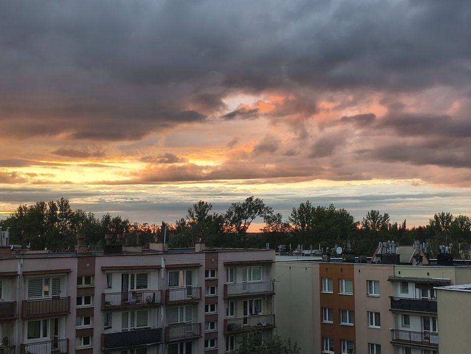 Mieszkanie – Ruda Śląska - Widok 2