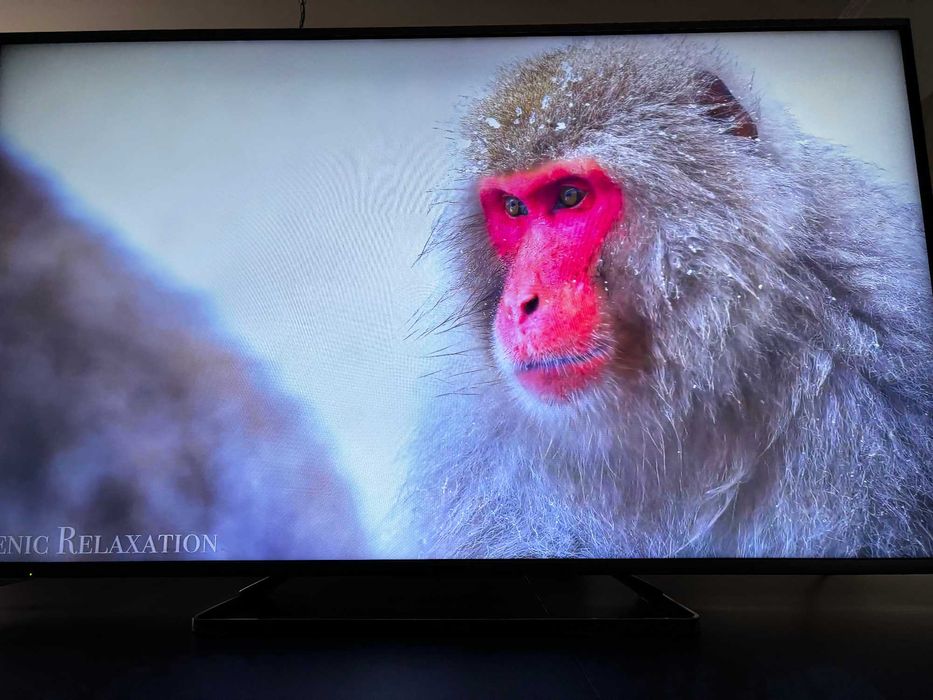 Telewizor Panasonic TX-55AX630 55" 4K UHD Smart TV– 3D, Wi-Fi,YouTube,