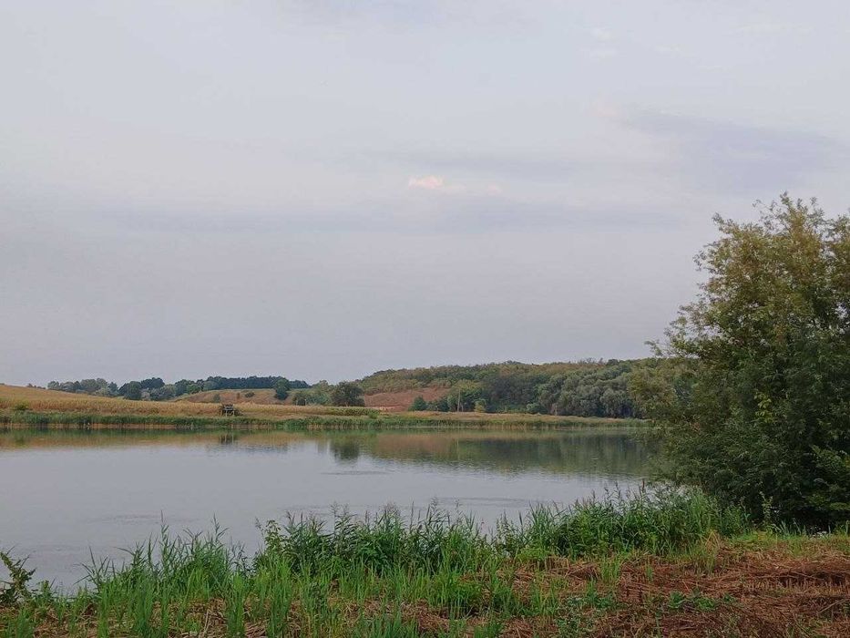 Продам ділянку під забудову в с.Козїївка, з виходом до р. Красна!